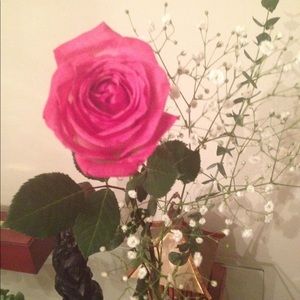 Meet your Posher, Ingo